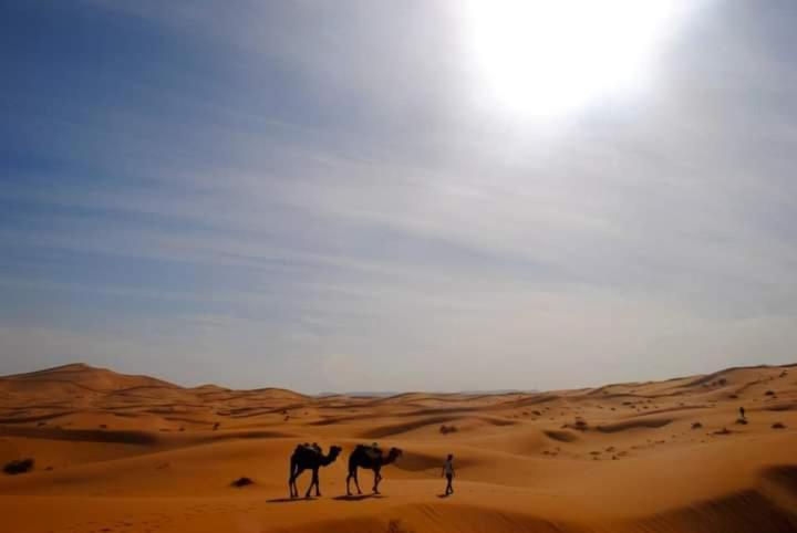 Hôtel Berber luxury camp à Merzouga Extérieur photo