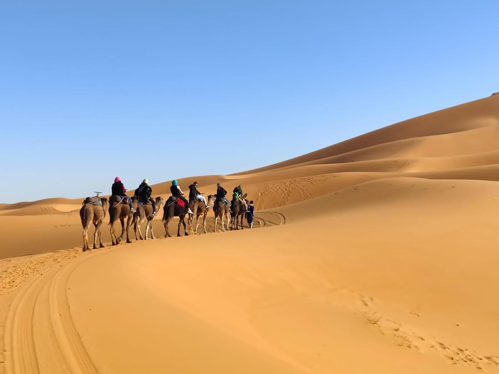 Hôtel Berber luxury camp à Merzouga Extérieur photo